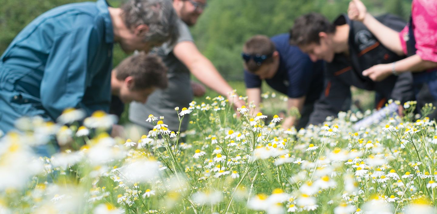 villa rizzi, socialfare, social innovation, trento